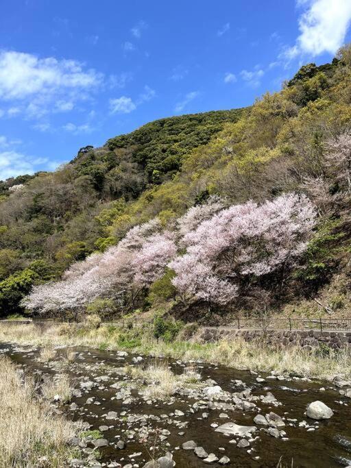 沼津戸田湾の古民家一軒貸切宿 釣り ハイキング 海水浴 ツーリングにおすすめ Exterior photo